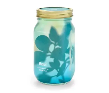 Herb Garden Jar - Basil