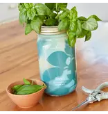 Modern Sprout Herb Garden Jar - Basil