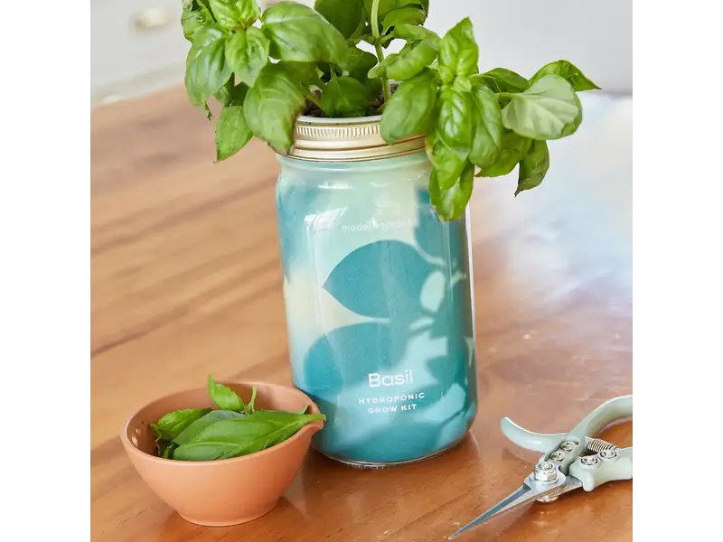 Modern Sprout Herb Garden Jar - Basil