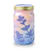 Modern Sprout Herb Garden Jar - Lavender