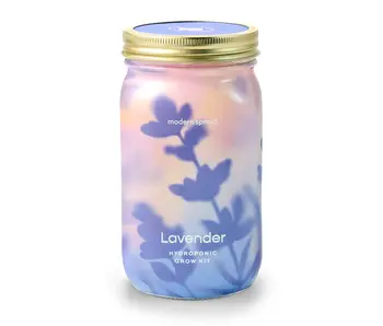 Herb Garden Jar - Lavender