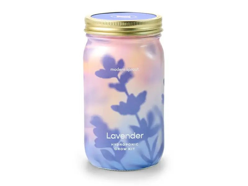 Modern Sprout Herb Garden Jar - Lavender