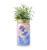 Modern Sprout Herb Garden Jar - Lavender
