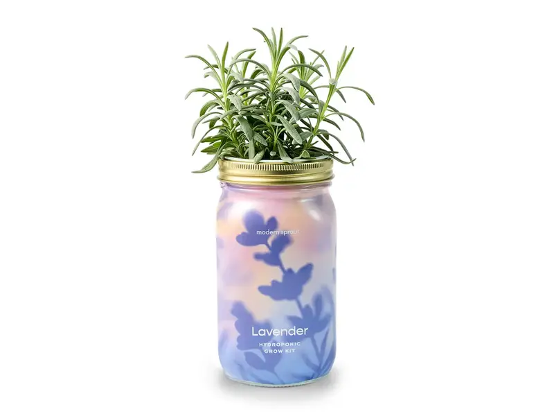 Modern Sprout Herb Garden Jar - Lavender