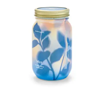 Herb Garden Jar - Mint