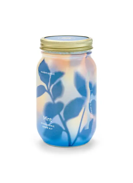 Herb Garden Jar - Mint
