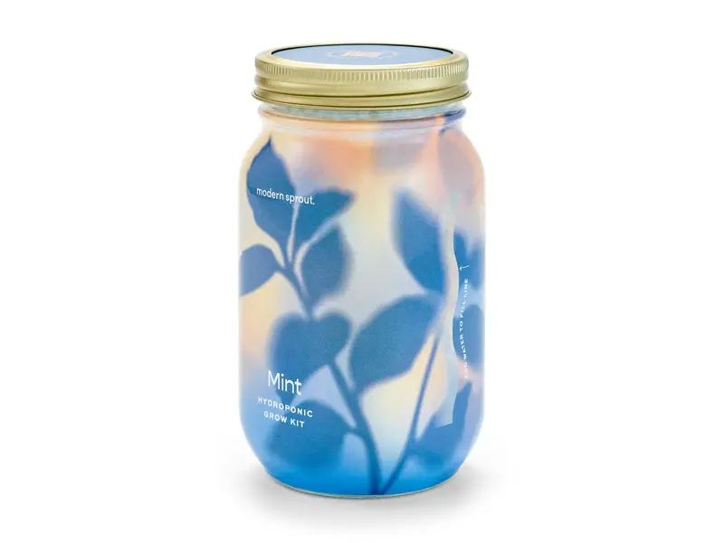 Modern Sprout Herb Garden Jar - Mint