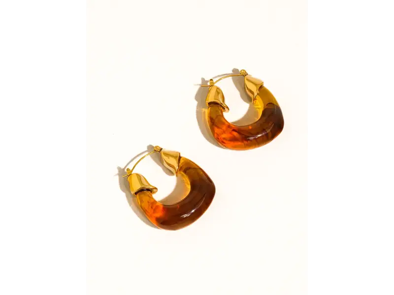 MAIQ Accessories Arlowe 18K Gold Non-Tarnish Resin Hoop Earrings - Brown