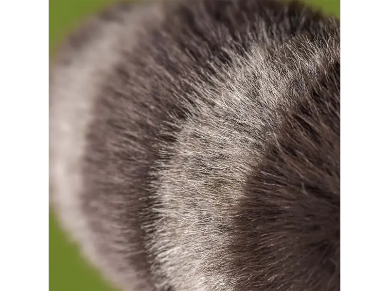 JellyCat Inc Trixiwoo Raccoon