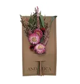 Andaluca Pink Strawflower Sweet Mini Bouquet