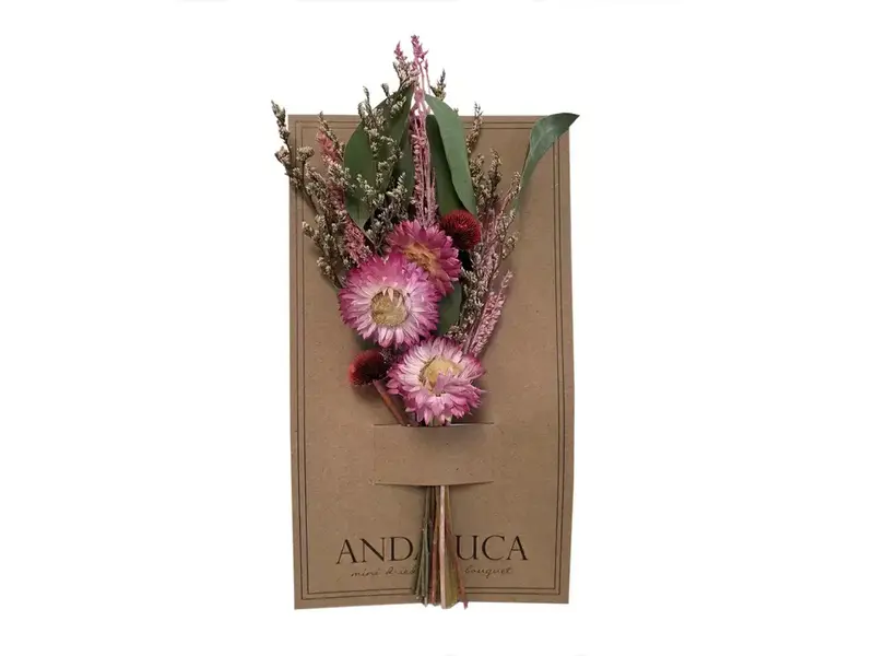 Andaluca Pink Strawflower Sweet Mini Bouquet