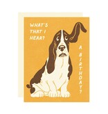 Wallflower Paper & Party Basset Hound Birthday Greeting Card