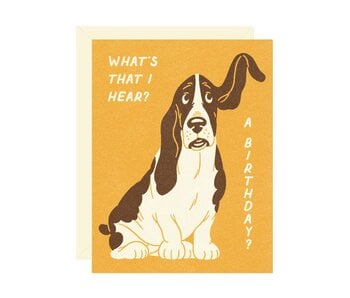 Basset Hound Birthday Greeting Card
