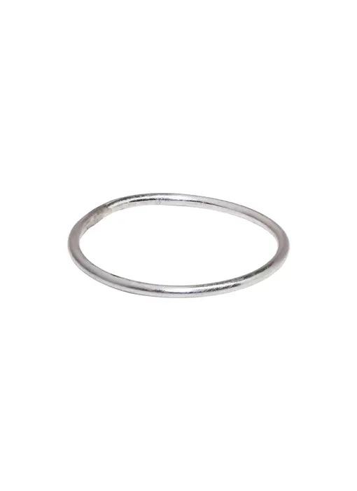 R81: Plain Thin SS Ring