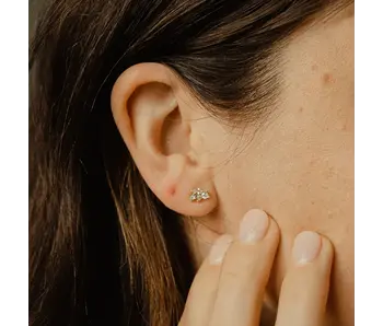 E1117: CZ Multi-Shape Studs, SS