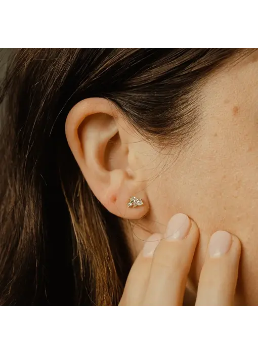 E1117: CZ Multi-Shape Studs, SS