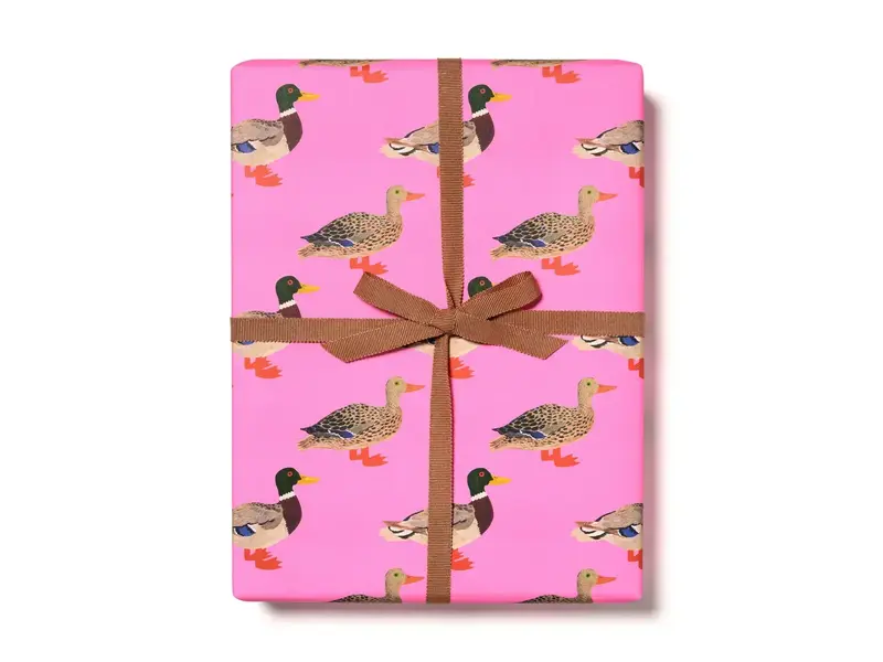 Red Cap Cards Quacky Birthday Birthday Wrapping Paper - 3 sheets