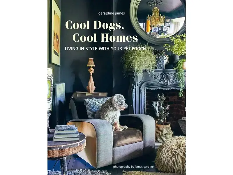 simon & schuster Cool Dogs, Cool Homes By Geraldine James