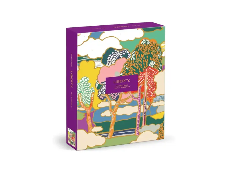 Chronicle Books Liberty Prospect Road Paint By Number Kit
