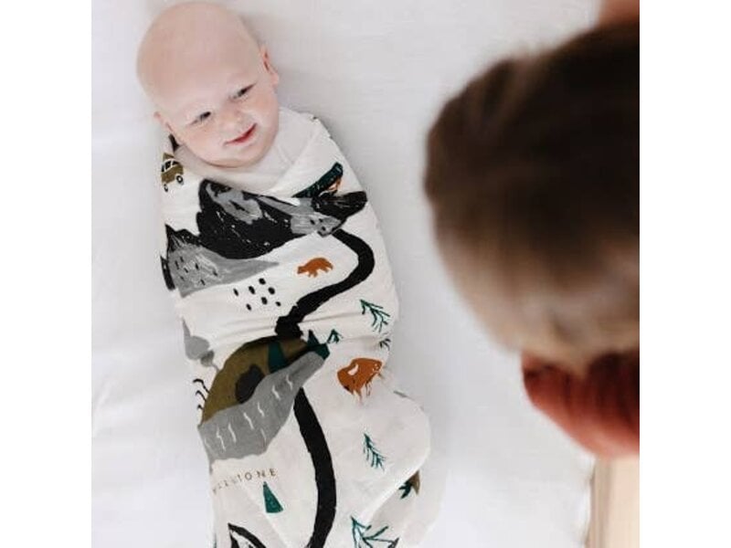 Clementine Kids National Parks Swaddle