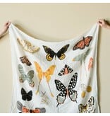 Clementine Kids Butterfly Collector Swaddle