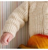 Clementine Kids Rainbow Connection Swaddle