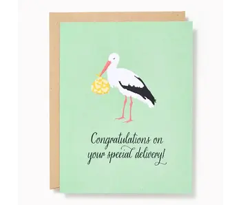 Special Delivery Stork Baby Card