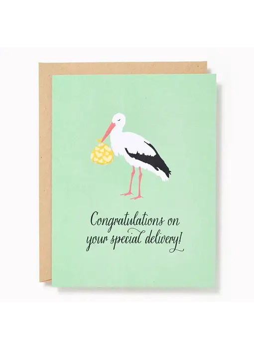 Special Delivery Stork Baby Card