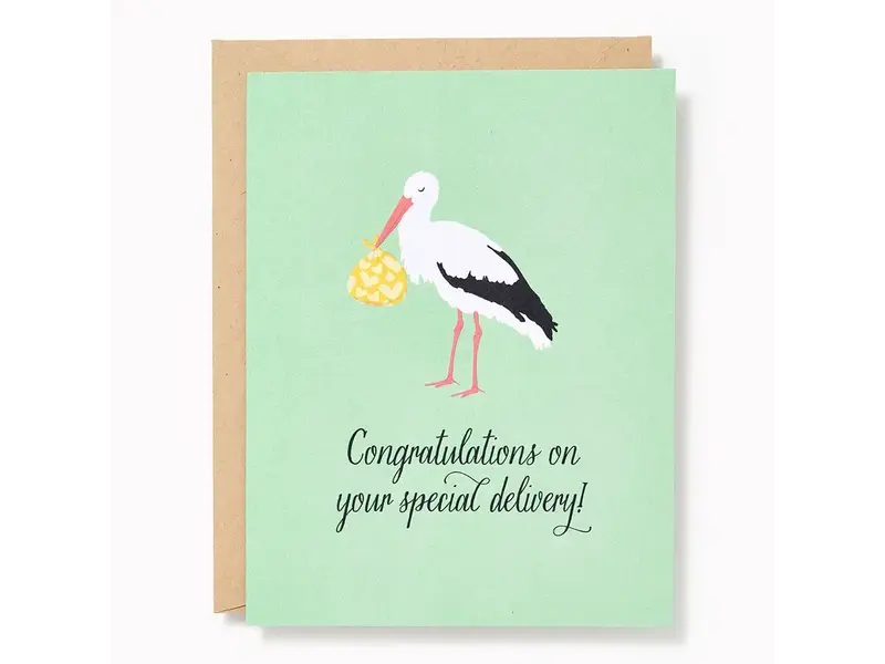 Paper Source Special Delivery Stork Baby Card