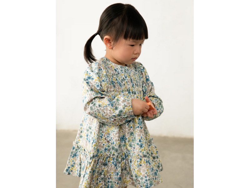 Mayoral Printed Velvet Dress - Anise