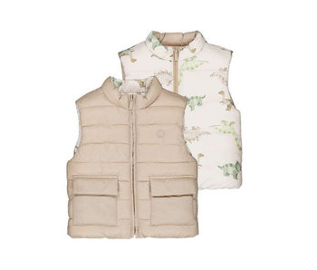 Dino Reversible Vest