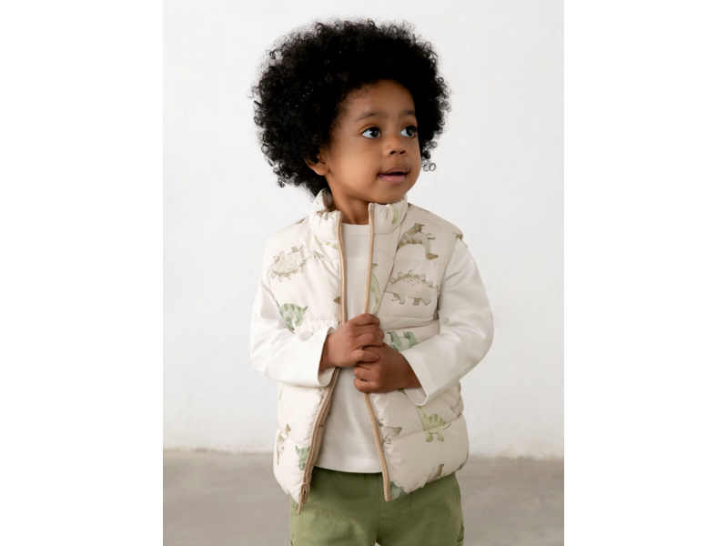 Mayoral Dino Reversible Vest