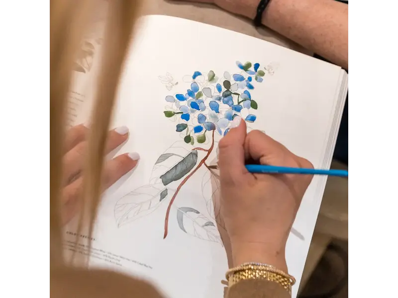 Paige Tate & Co Watercolor Workbook 2: Flowers, Feathers, & Animal Friends