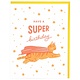 Super Cat Birthday Card