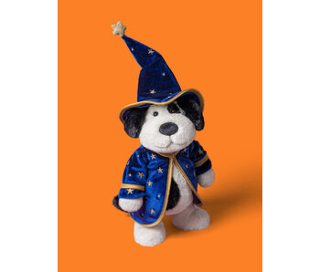 Rufferty Puppy Wizard Outfit