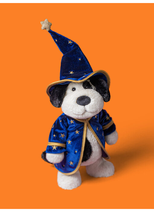 Rufferty Puppy Wizard Outfit