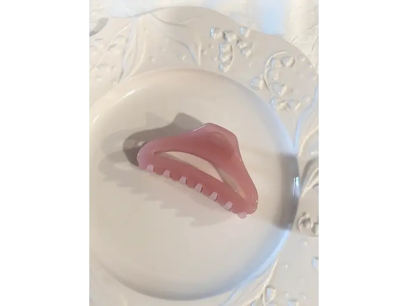 LoveLina Jelly Essential Hair Clips (CANNE2)