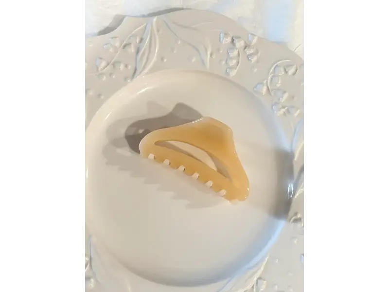 LoveLina Jelly Essential Hair Clips (CANNE2)