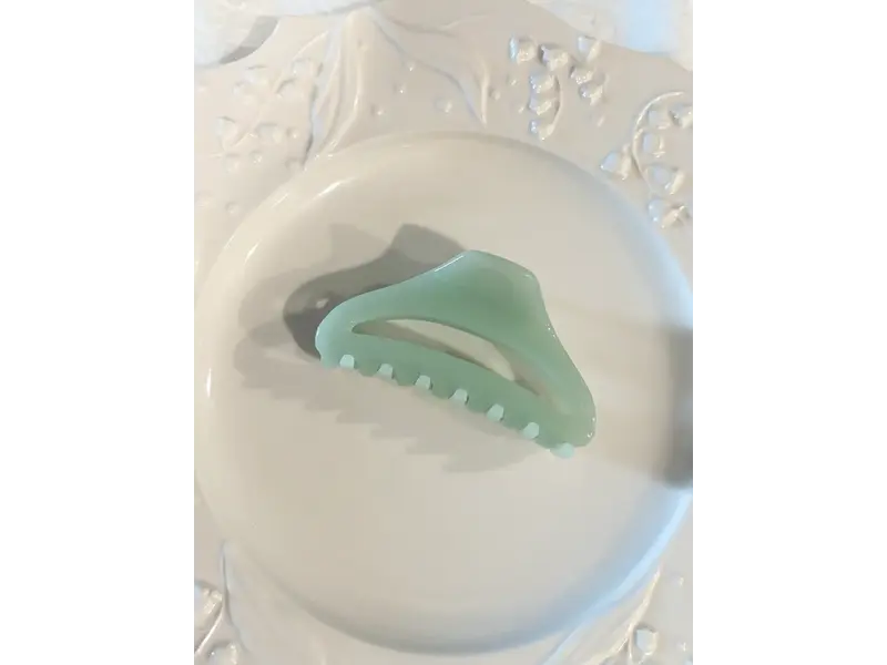 LoveLina Jelly Essential Hair Clips (CANNE2)