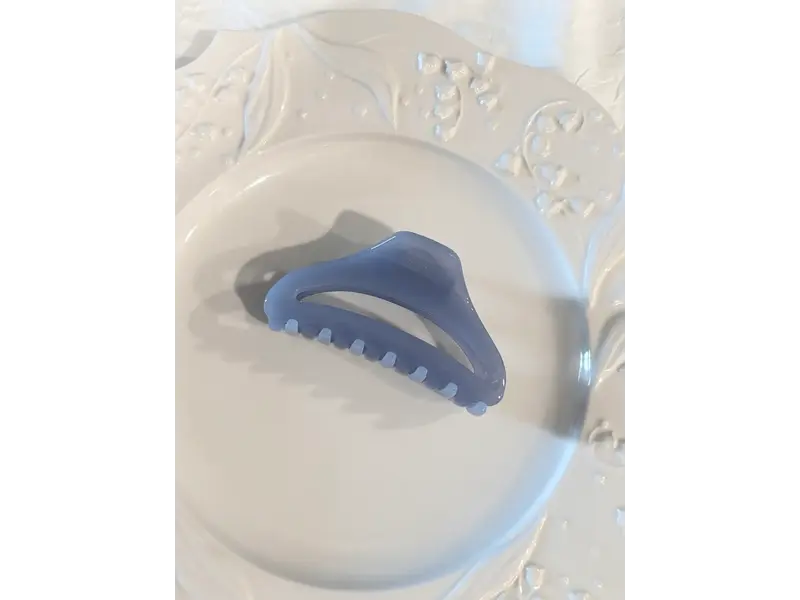 LoveLina Jelly Essential Hair Clips (CANNE2)