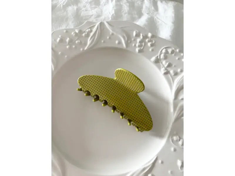 LoveLina Vintage Polka Dot Detail Hair Clips (AYORO2)