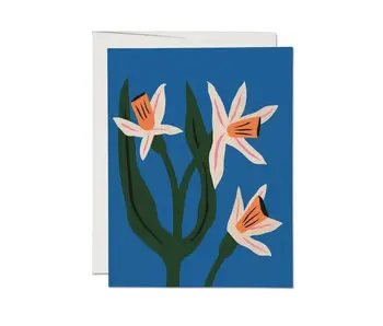 Blue Daffodils Greeting Card