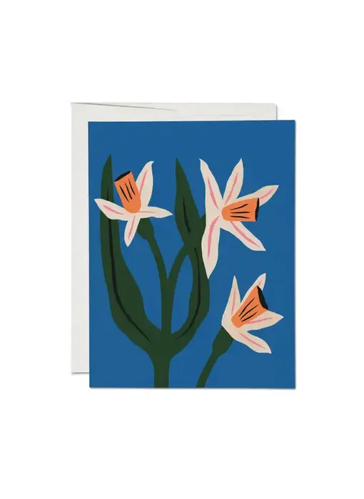 Blue Daffodils Greeting Card