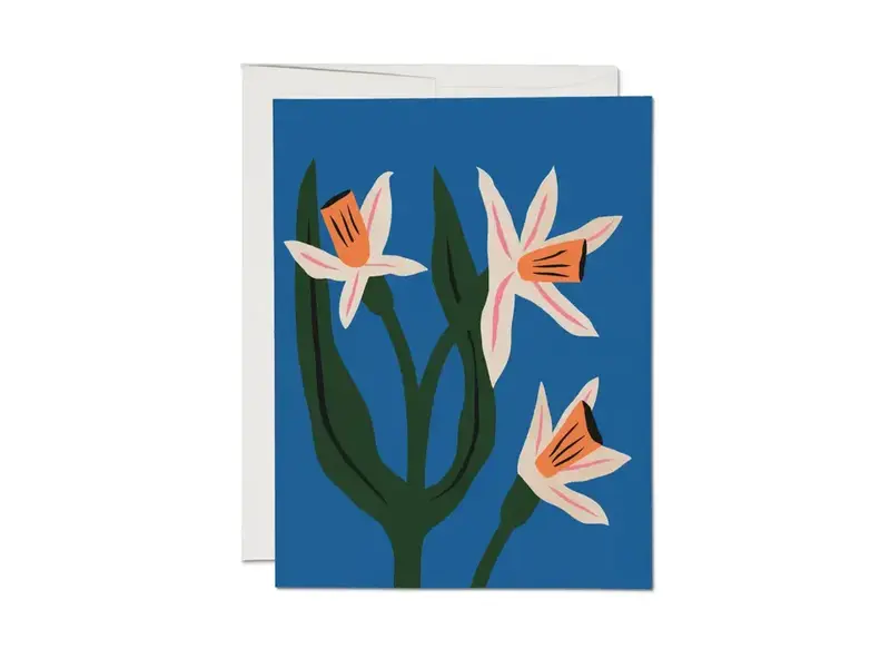 Red Cap Cards Blue Daffodils Greeting Card