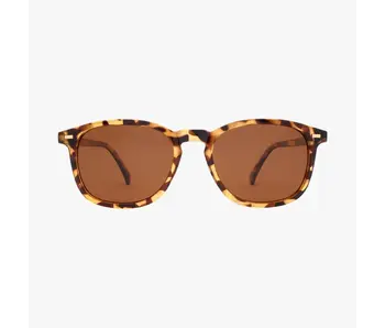Bean Classic Tort Polarized Unisex Round Classic Sunglasses
