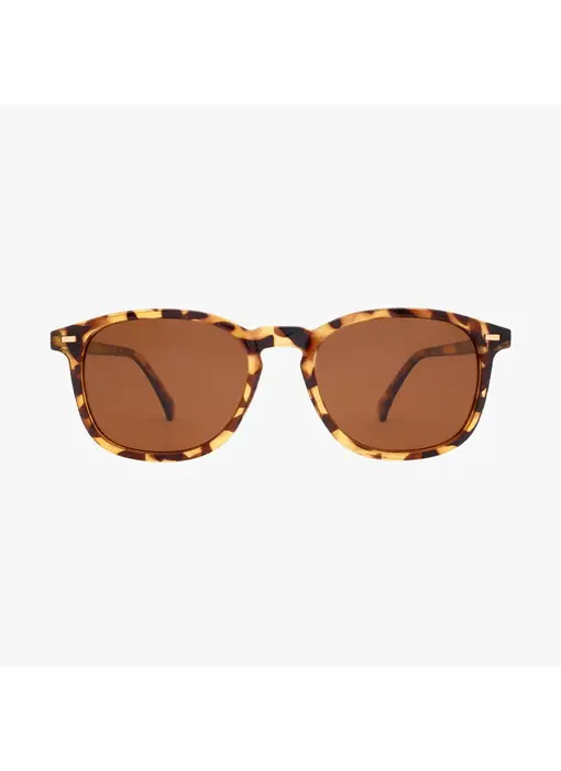 Bean Classic Tort Polarized Unisex Round Classic Sunglasses