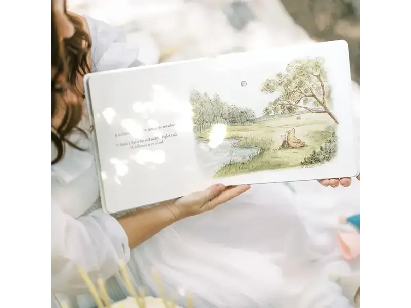 Paige Tate & Co Winnie-The-Pooh: Finding Feelings