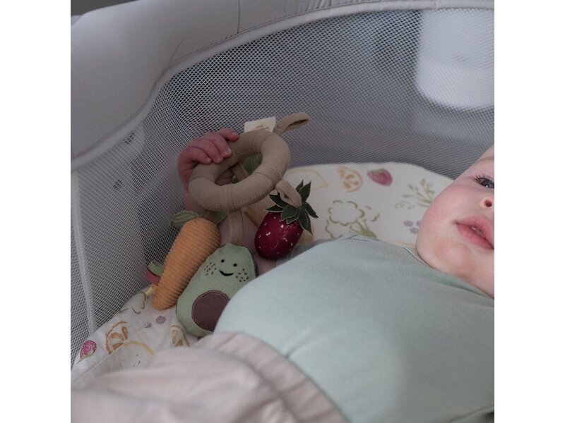 Crane Baby Clementine Fruits & Veggies Soft Plush Activity Ring