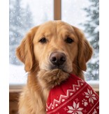 Haute Diggity Dog Apres Ski Pom Pom Hat  | Squeaker Dog Toy