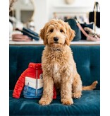 Haute Diggity Dog Muttcler Puffer Jacket  | Squeaker Dog Toy